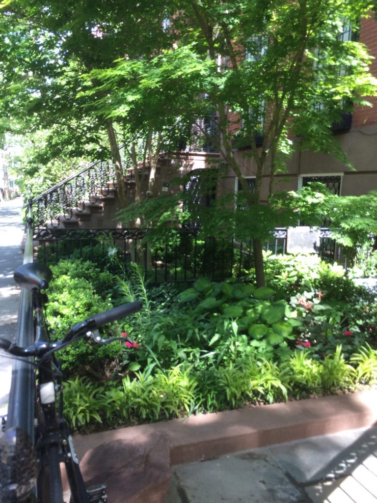 We’re in a Tight Spot — Landscape Design for Small Urban Spaces