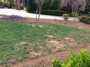      Compacted, neglected soil results in bare spots and crabgrass.