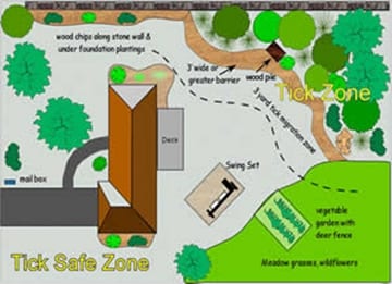 Figure 5. Landscaping practices can create a backyard tick-safe zone.