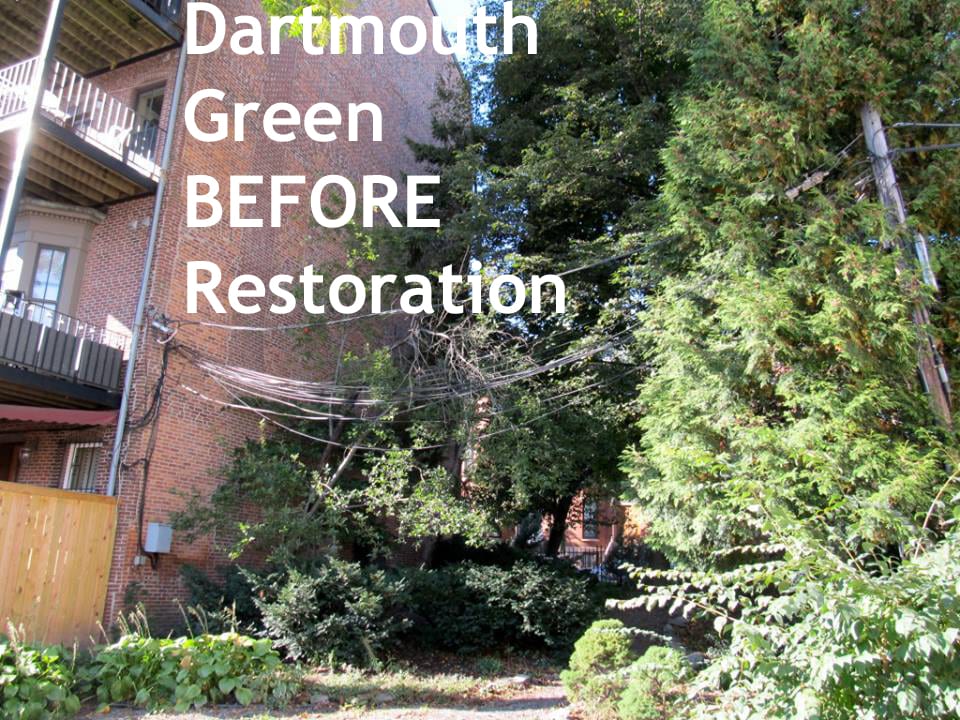dartmouth green BEFORE with Caption