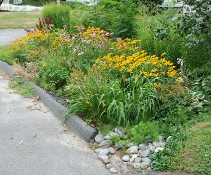 The Soak Up the Rain Campaign promotes holding stormwater in place, for example in rain gardens like this one in Leominster, MA, where it can infiltrate.