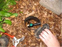 Greywater is dispersed through mulch basins, each installed with its own shut off valve.