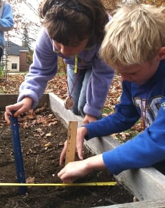 Dublin students use their math skills to measure a bed for garlic planting.