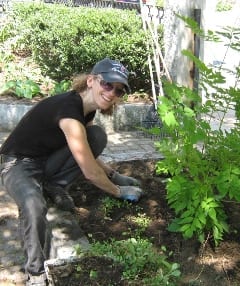Arcola Project Volunteer Plants in the Shade.240
