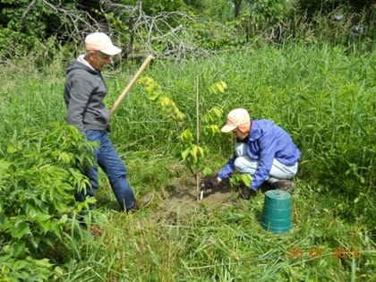 Volunteers from partnering groups planted over 1,700 trees in a project to redevelop the floodplain forest at Bartholomew’s Cobble, Sheffield, MA.