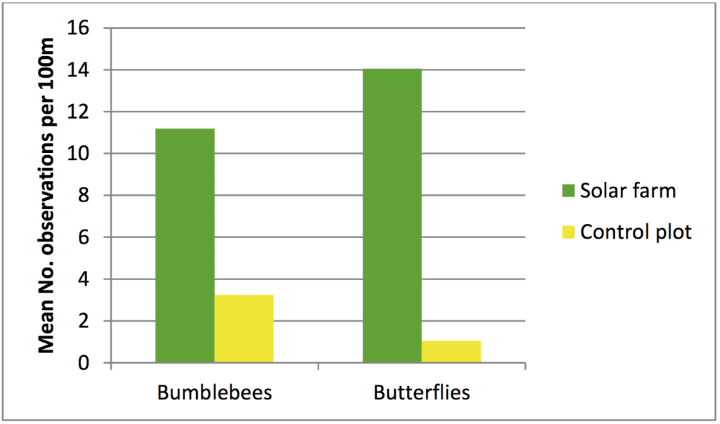 Compared to row crops, solar sites with biodiverse plants show statistically significant increases in pollinator populations and variety. Parker, GE & McQueen, C (2013) Can Solar Farms Deliver Significant Benefits to Biodiversity? Preliminary Study July-August 2013. Unpublished Report. 
