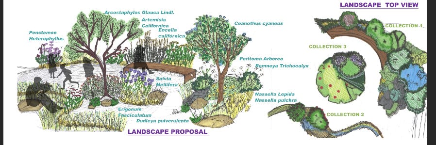 Vegetação  Landscape architecture, Landscape architecture design
