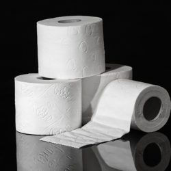 toilet-paper-3964492_1920