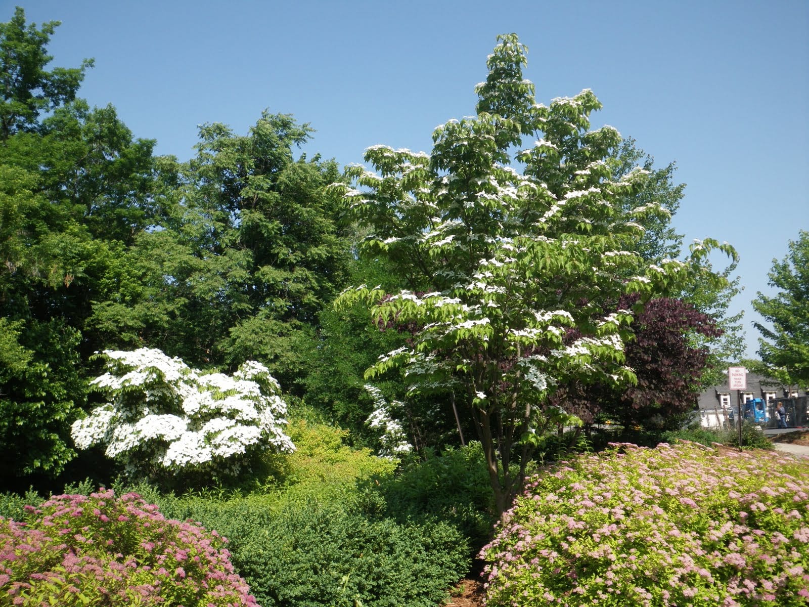 Designing With Native Plant Communities Natural Landscaping 
