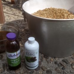A mixture of water, EM1, and molasses await incorporation into a bran & coffee chaff substrate as part of a bokashi recipe.
