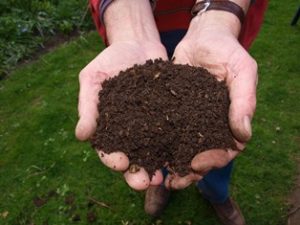 composted soil